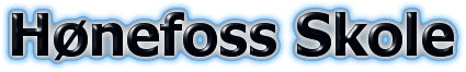 H�nefoss Skole