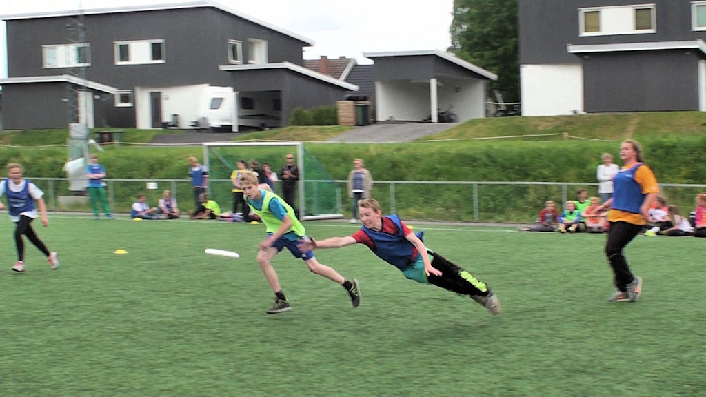 Haugsbygd og Hedalan u-skoler, 8. trinn - 4. juni 2014