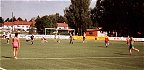 Lek