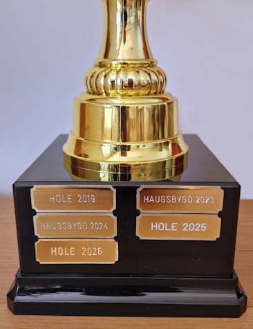 Hønefoss Ultimate Cup